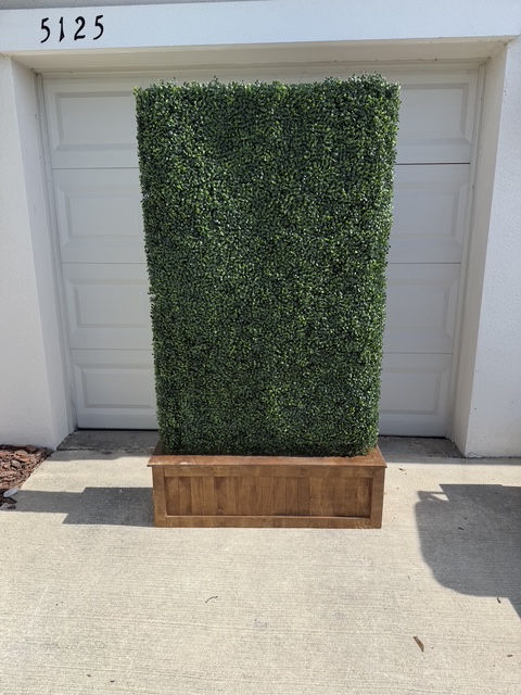 Hedge Wall