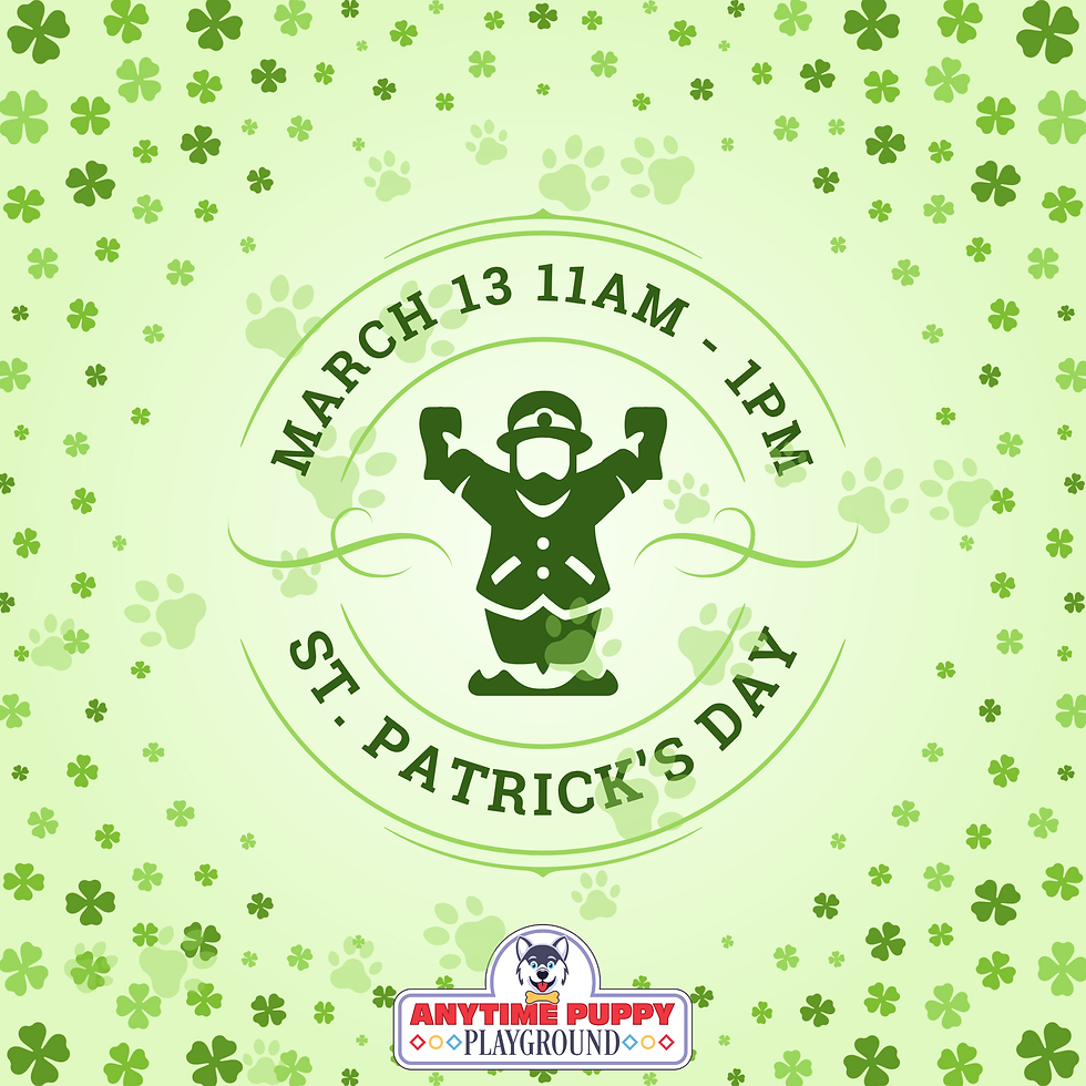 St. Patrick's Day Party