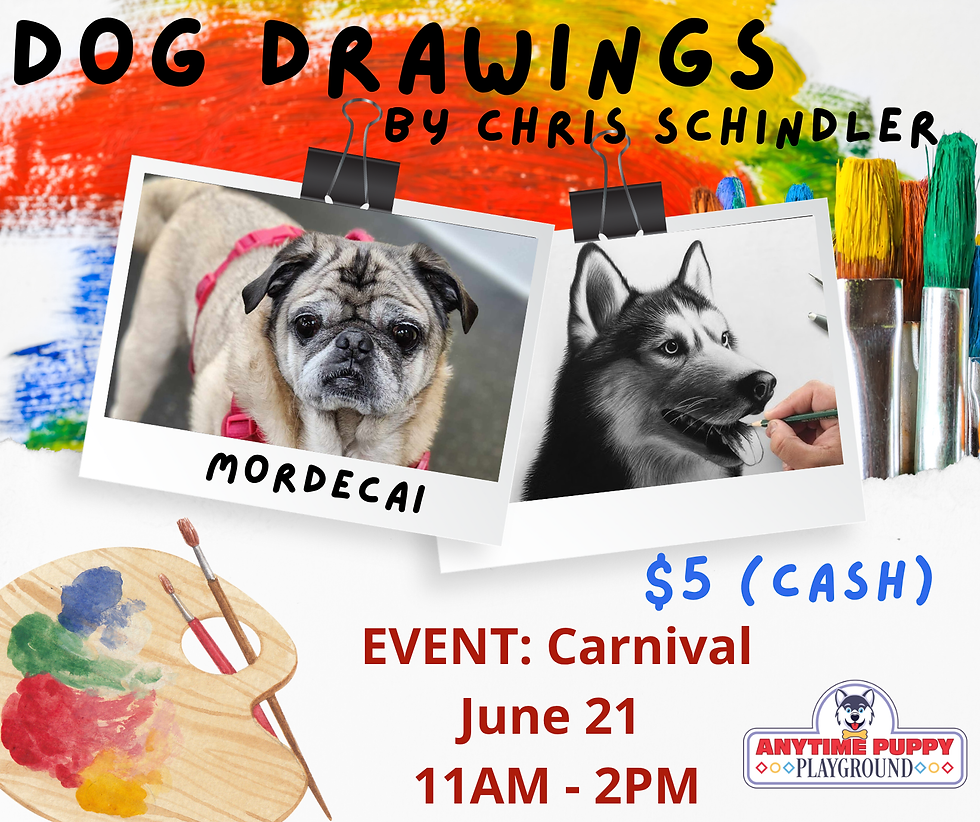 Dog Art at The Carnival