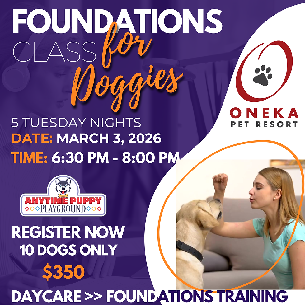 Foundations Training