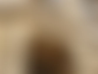 ANNE HECHE DIES WITH CONFLICT AROUND HER WILL, LEAVING HER SONS & ESTATE IN LEGAL LIMBO—PART 2