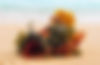 Sea Moss Combo.jpg