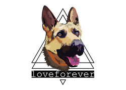 loveforever collection-02