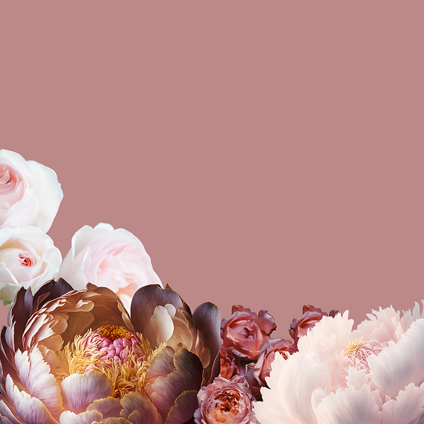 Untitled design-5 12.png