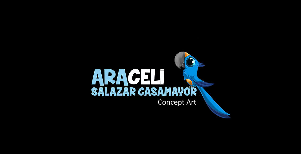 Portfolio Araceli Salazar