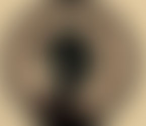 The role of the sister is a special character in a gothic.