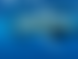 Whales: In the World but Not of It