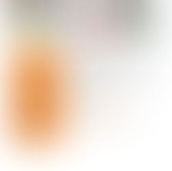 TITRE PROFESSIONNEL COMMIS DE CUISINE - GRETA CFA BAYONNE - SEPT 25