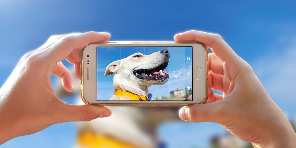Phoneografie - Fotografieren mit dem Smartphone