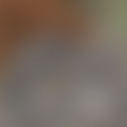 Lumigny Safari Reserve