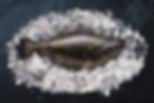 Main image-vertical-head facing down_edited_edited.jpg
