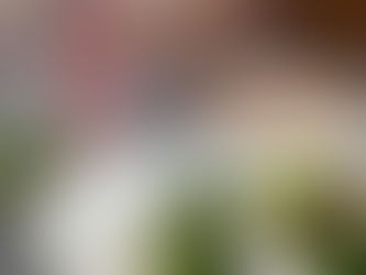 Toasted Farro, Kale, and Hummus Bowl