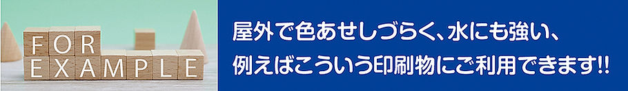 forexample_bn_edited.jpg