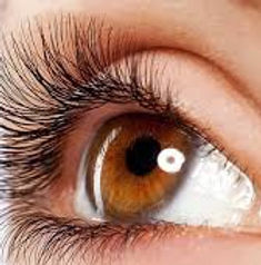 classic set lashes.jpg