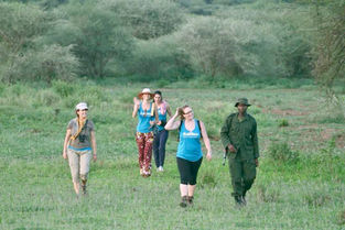 Participants of The Kabisa Experience on a walking safari with a ranger in Lake Manyara, Tanzania