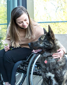 Service Dog