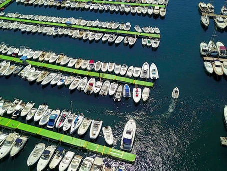 SENTENZA CONSIGLIO DI STATO - CONSIDERAZIONI AVV. ALFONSO MIGNONE