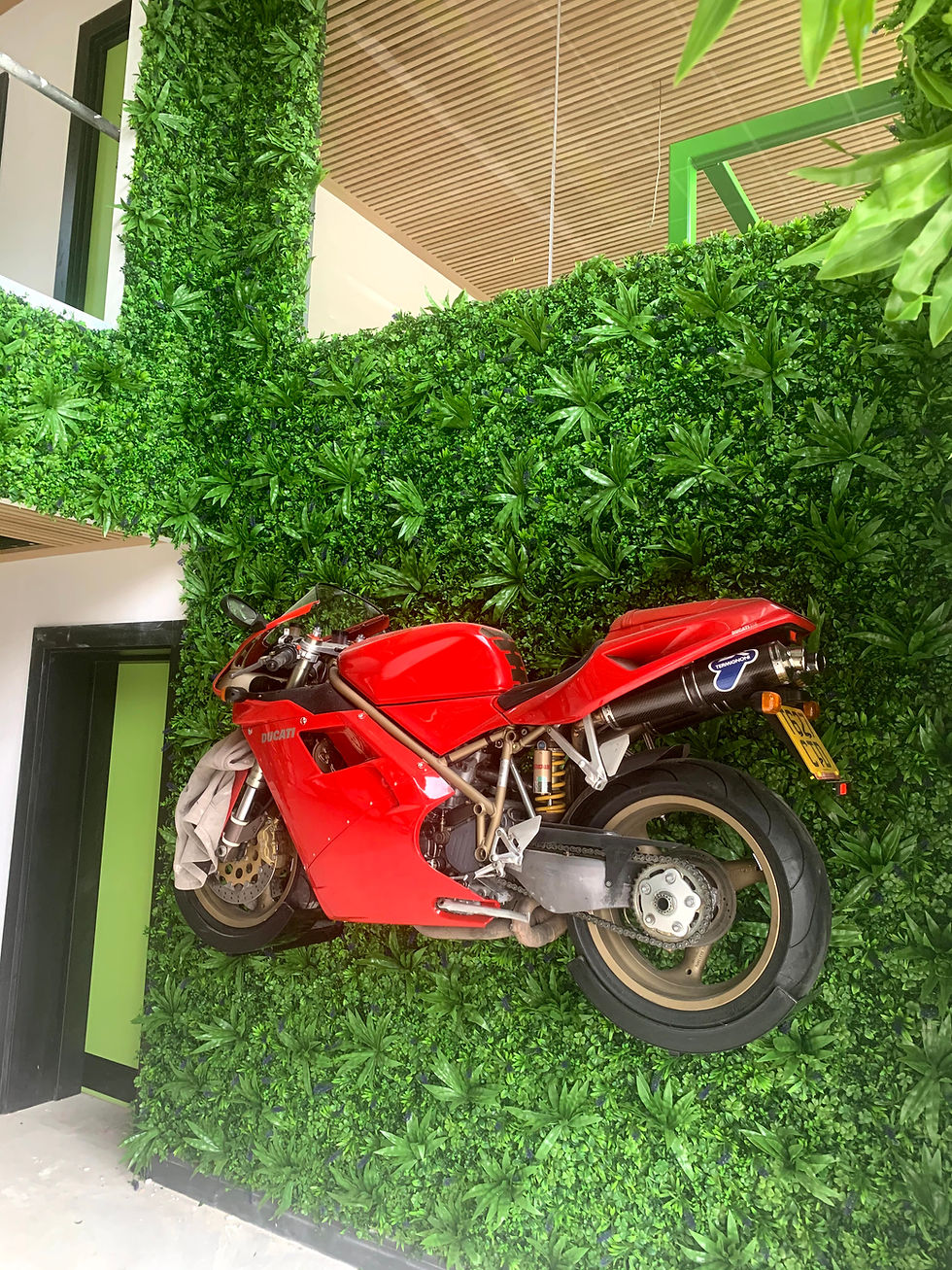 Thumbnail: Rhoda Dendron