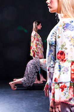 Dansarar_bæklingur_Lhí2780