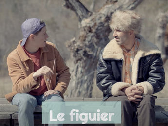 Le figuier