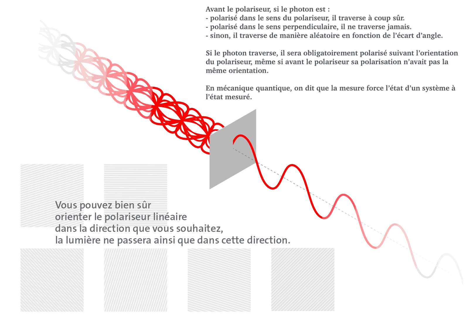 La lumière naturelle est dite "non polarisée" car ses photons n'ont pas de polarisation privilégiée. Tous les photons qui "peuvent" traverser le polariseur se retrouvent polarisés suivant la même orientation. La lumière est désormais polarisée.
