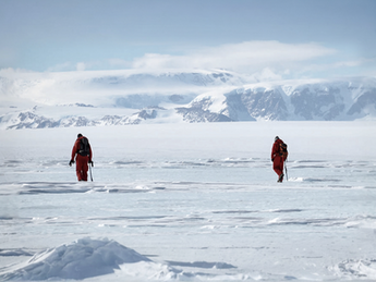 Antarctique