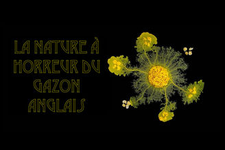 Regarde la nature