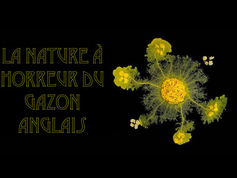 Regarde la nature