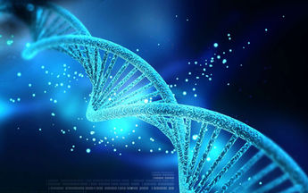 L'algorithme du vivant