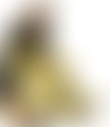 Las cosas de mi abuelo (Segunda parte)©