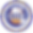 GSR Logo_edited.png