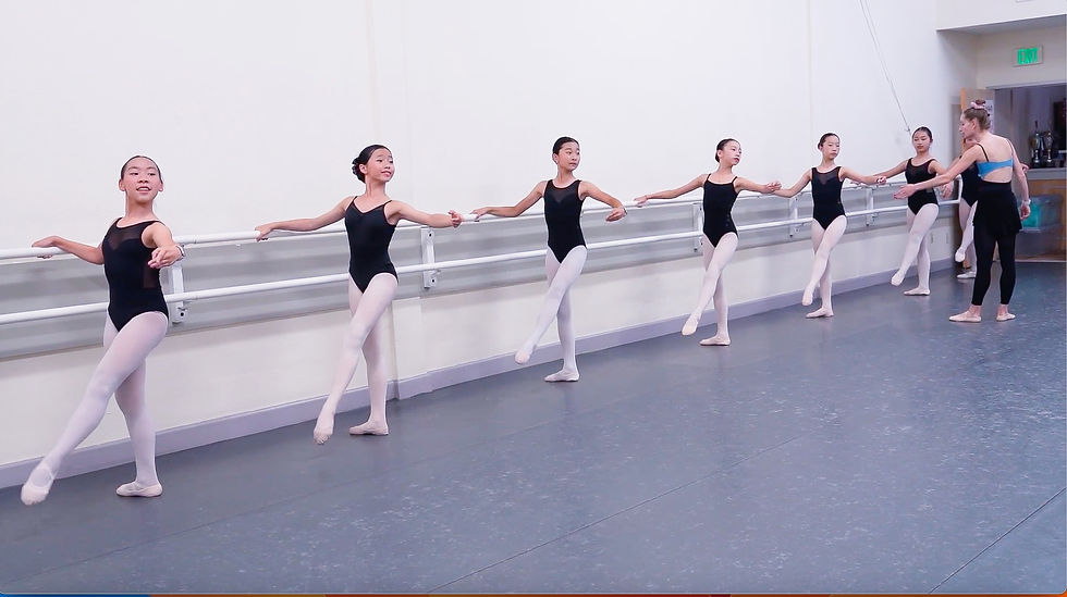 Screenshot 2024-06-24 at 2.39.03 PM