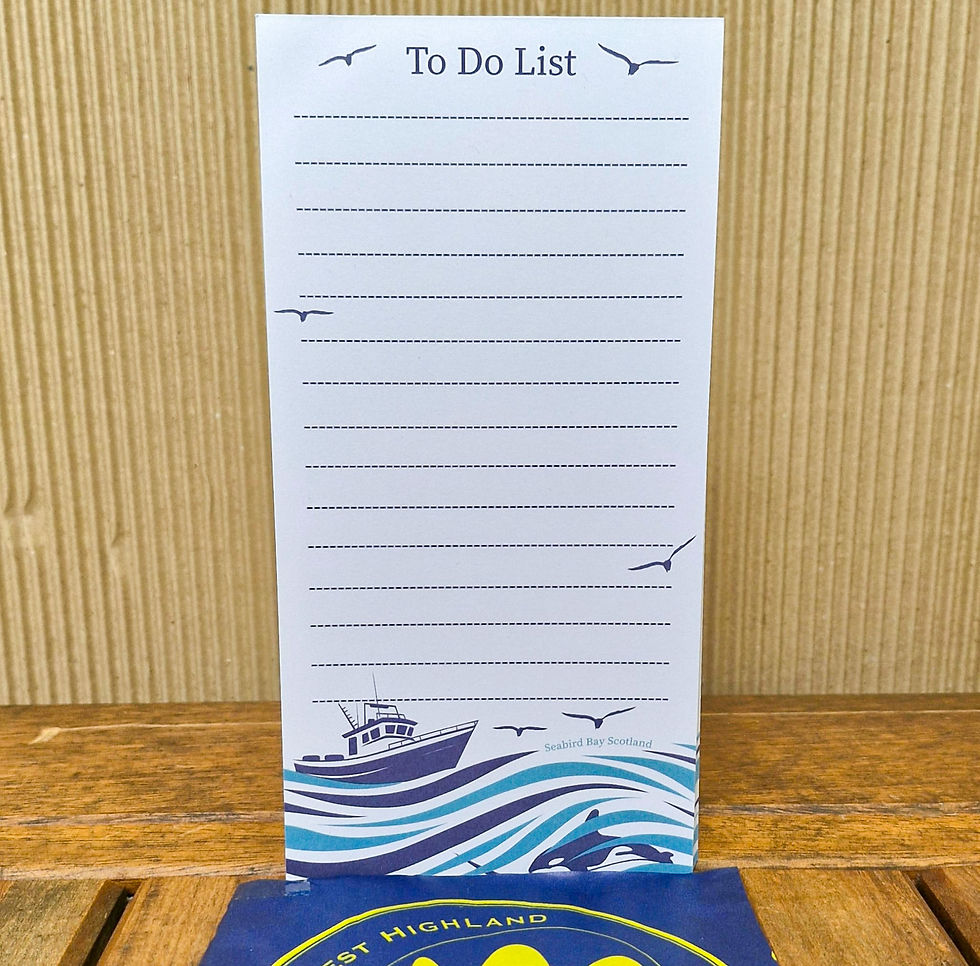 Seabird Bay Stationary