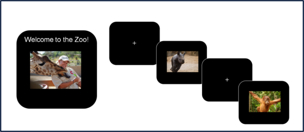 Screens from the Zoo Game go/no-go task