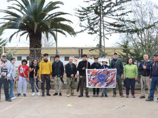 Flint modalidad campo
