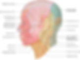 Trigeminal Neuralgia: Understanding the Most Severe Facial Pain—and Emerging Targeted Treatment Options