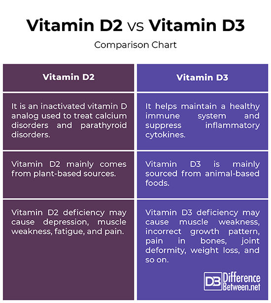 Comparison of vitamin D2 (ergocalciferol) and vitamin D3 (cholecalciferol) showing differences in source, stability, potency, and effectiveness in raising vitamin D levels.