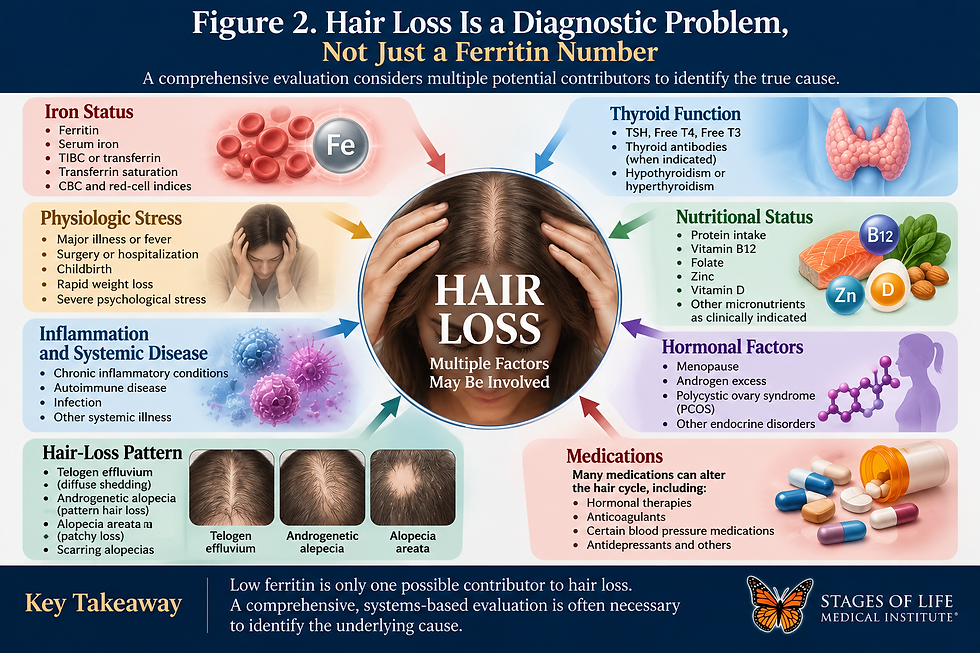 Professional medical infographic from Stages of Life Medical Institute illustrating a systems-based evaluation of hair loss, including ferritin and iron studies, thyroid function, nutrition, hormones, medications, inflammation, physiologic stress, and different patterns of alopecia.