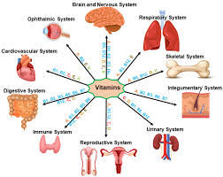 What is a vitamin? A physician explains vitamin definitions, deficiencies, supplementation, and why vitamin D is actually a hormone.