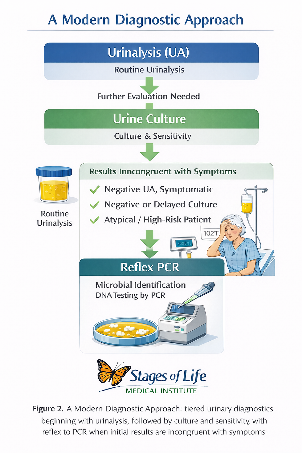 Flowchart showing UTI diagnostic pathway starting with urinalysis, followed by urine culture, with reflex PCR testing when results do not match symptoms