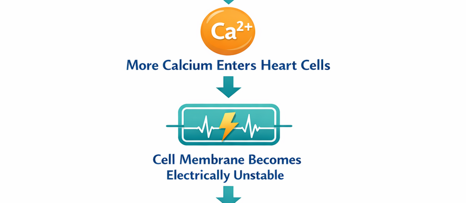Magnesium Deficiency and Cardiac Arrhythmia Risk