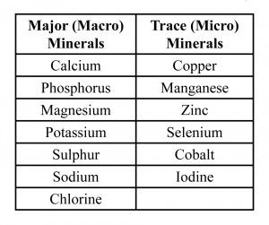 What is a Mineral, and Why is it Essential?