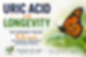 Uric Acid and Longevity: Live Longer by Keeping the Level below 5.5 mg/dl