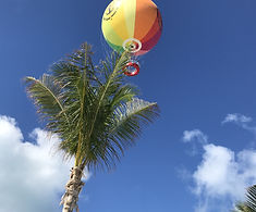 IMG_1346.jpeg