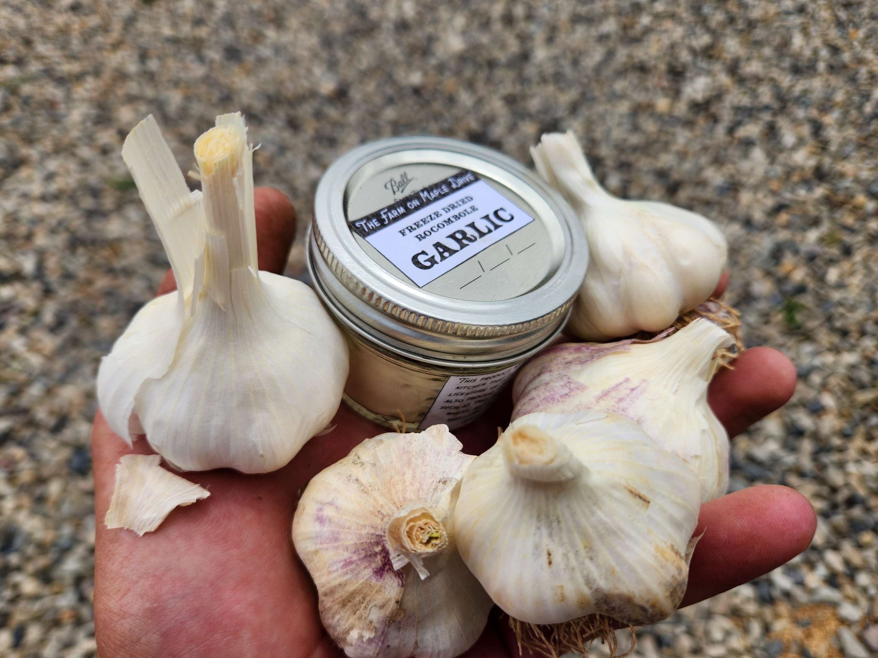 Freeze Dried Garlic Powder