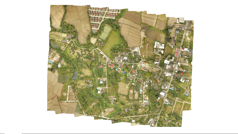 Satellite Image