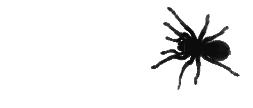 106c04bae819e66682e91ab7d870b2b6ec017cb83d1409428caf9d7d7cbc3eaf_gif (500×215) (1).gif