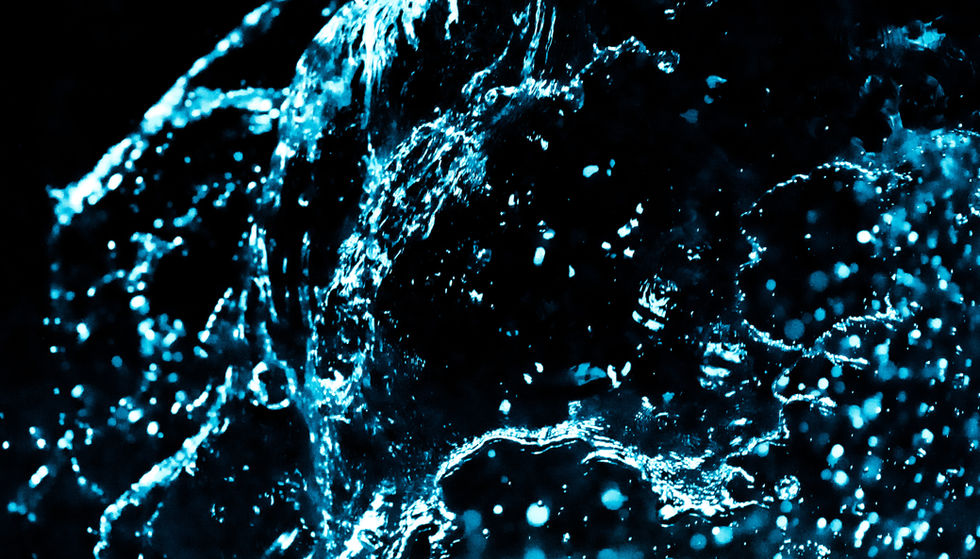 53111092419_05c9d17540_o.jpg