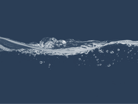 How to Tackle Mold Due to Water Damage: Expert Solutions for Homes in WI, IL, and MN