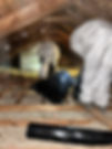 Vermiculite removal services by Quality Remediation.